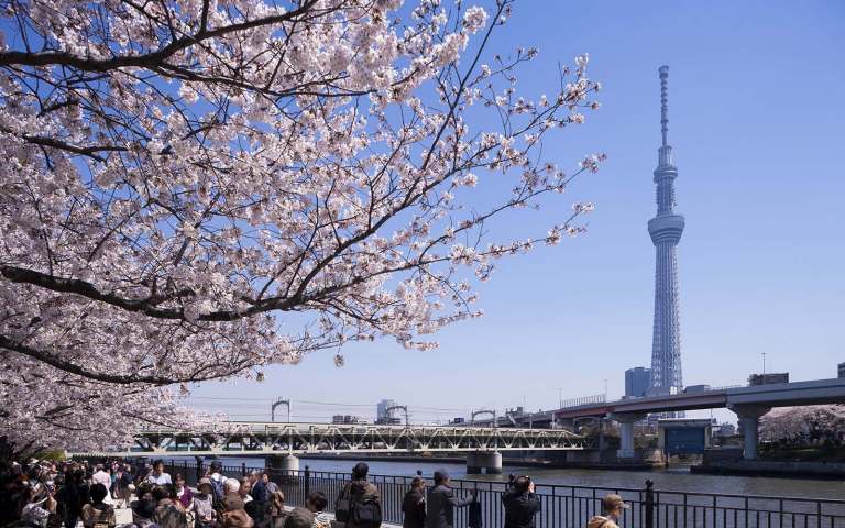 Flyg till Japan med SAS Flyg till Japan med SAS